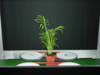 A_camerasortering/willsort_7.jpg